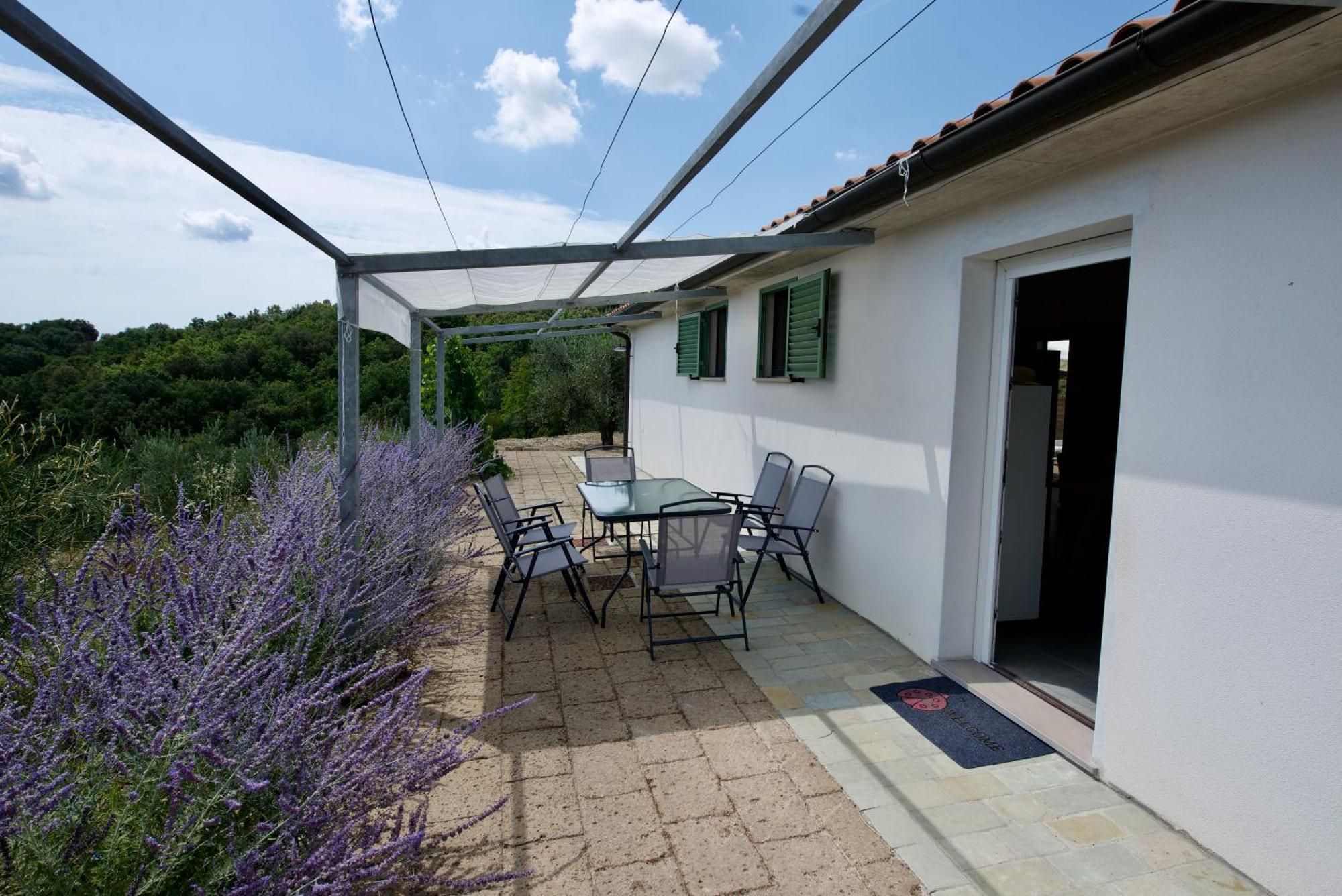 Gasthaus Poggio Ferrone Suvereto Exterior foto