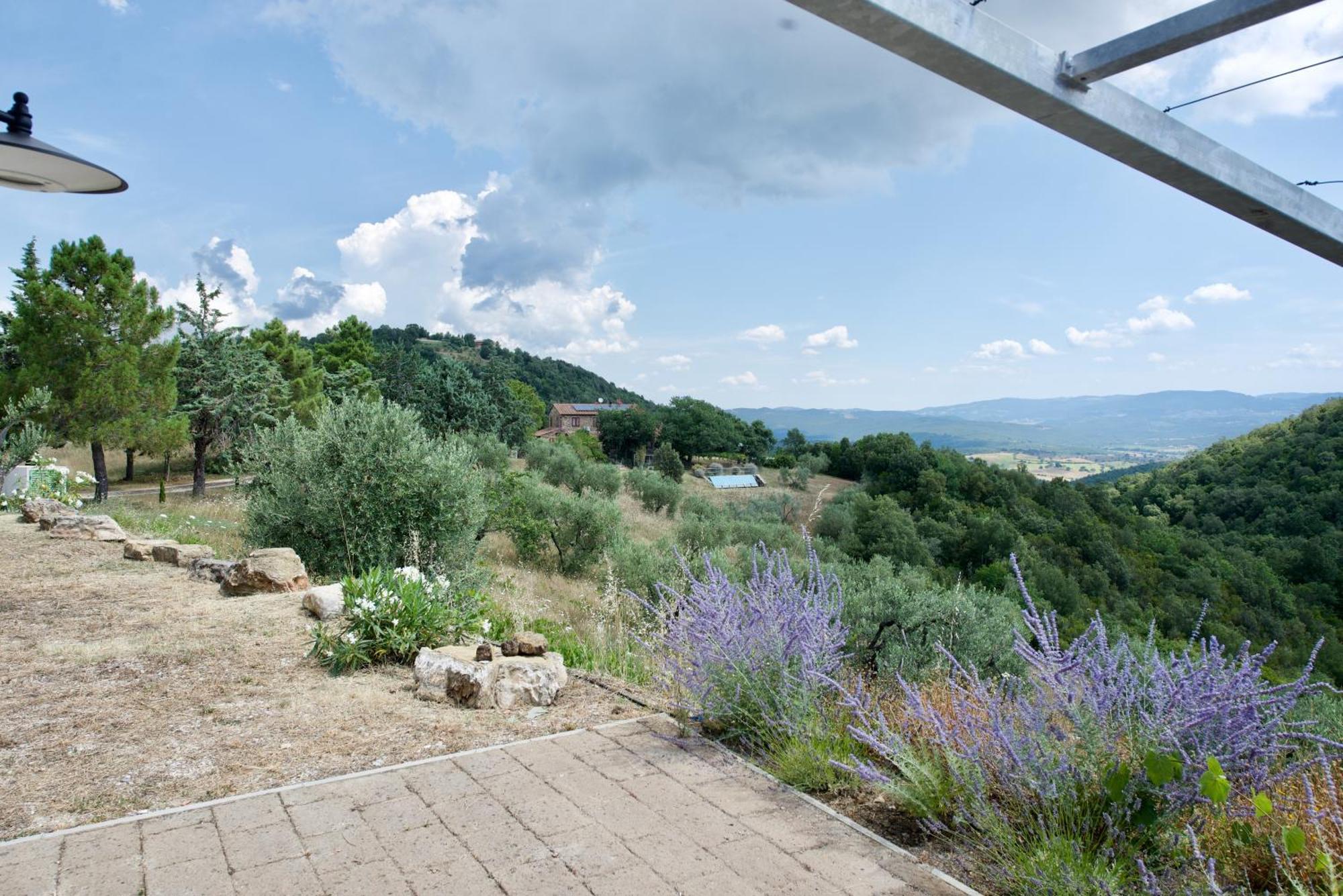 Gasthaus Poggio Ferrone Suvereto Exterior foto