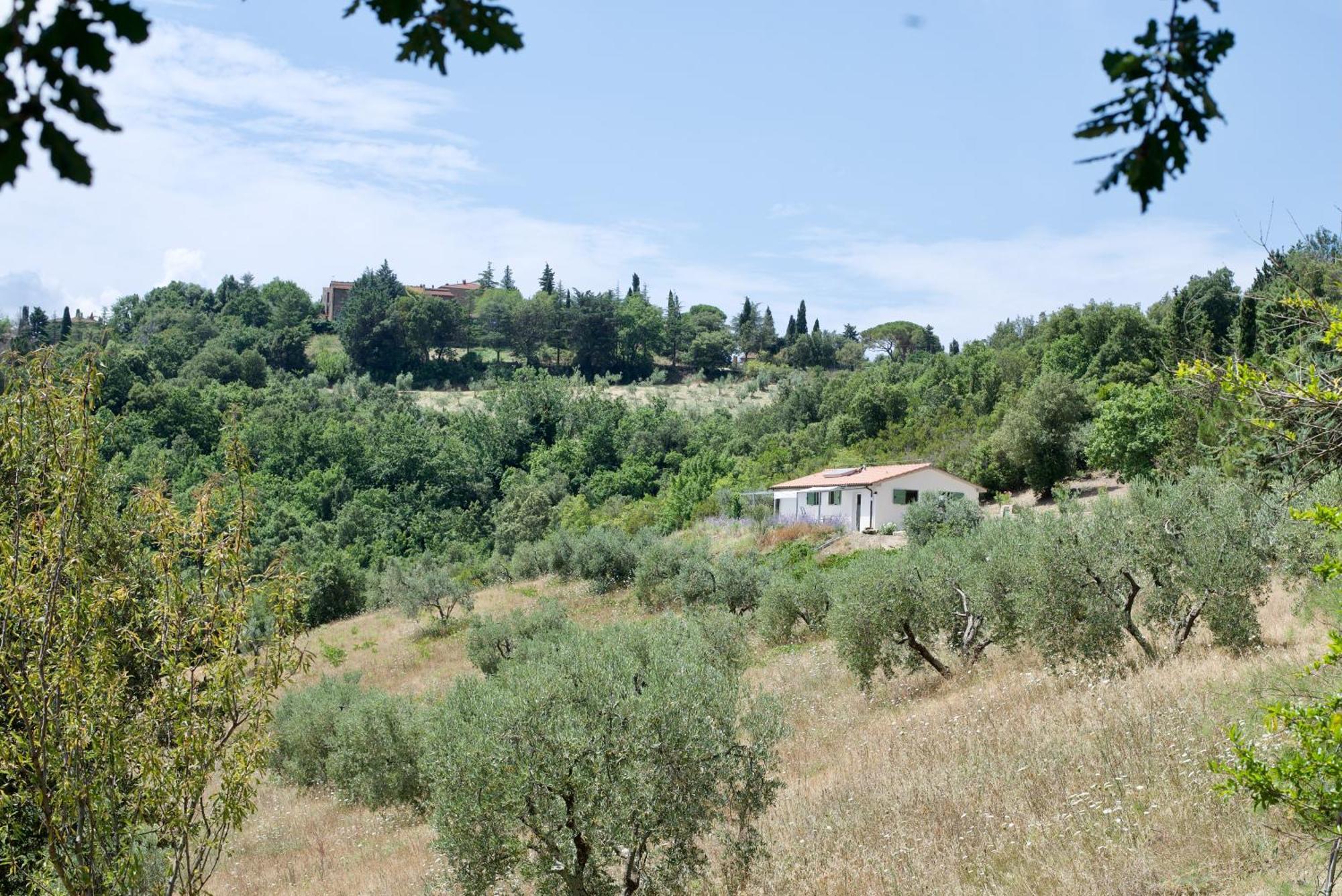 Gasthaus Poggio Ferrone Suvereto Exterior foto