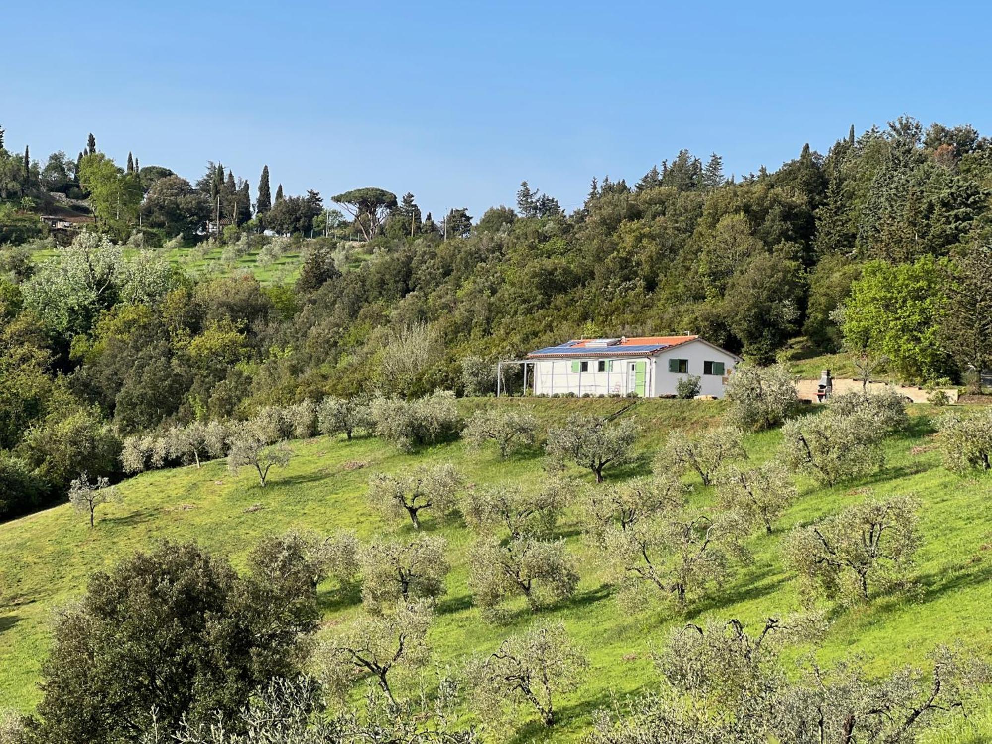 Gasthaus Poggio Ferrone Suvereto Exterior foto